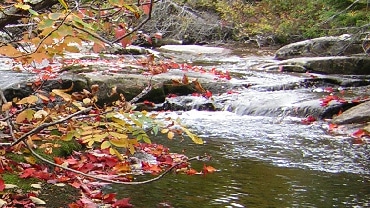 riviere-parc-borealA riviere-parc-borealA